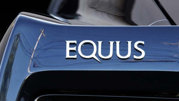 equus_bass_9
